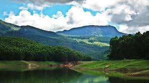https://d3r8gwkgo0io6y.cloudfront.net/upload/munnar 4.jpg